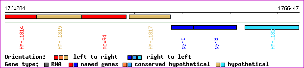 gene map