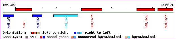 gene map