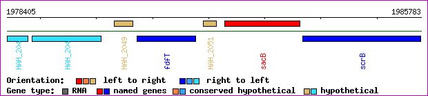 gene map