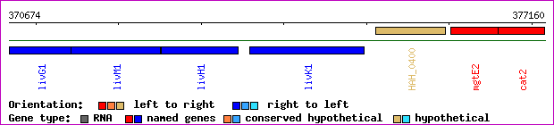 gene map