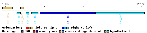 gene map