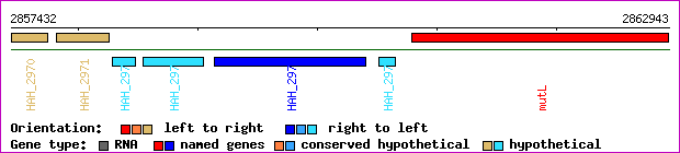 gene map