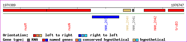 gene map