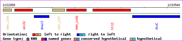 gene map