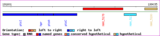 gene map