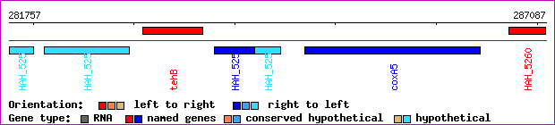 gene map