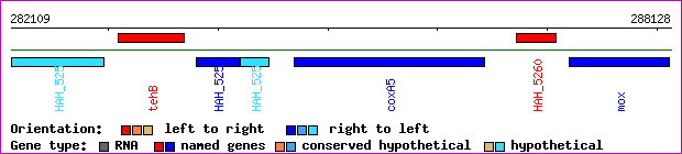 gene map