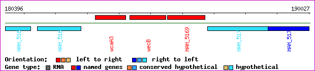 gene map
