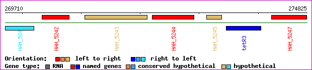 gene map