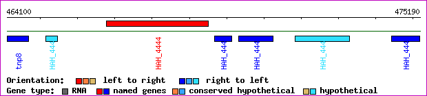 gene map
