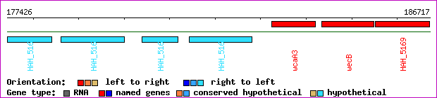 gene map