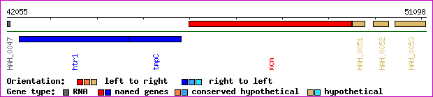 gene map