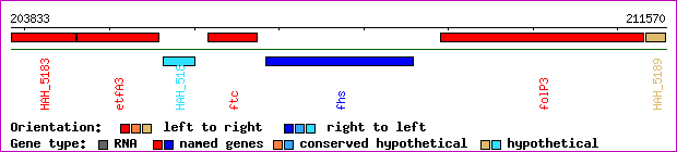 gene map