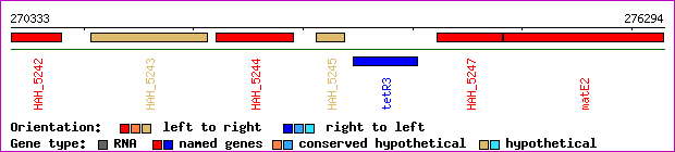 gene map