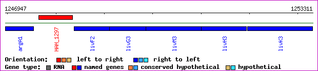 gene map