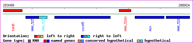 gene map