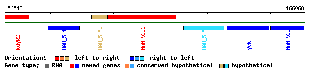gene map