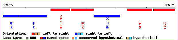 gene map