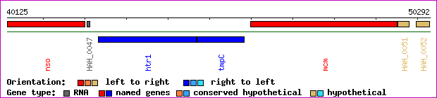 gene map