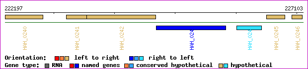 gene map