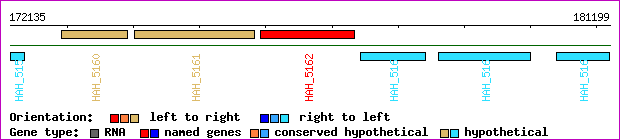gene map