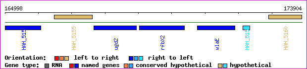 gene map