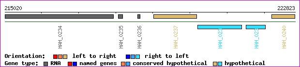 gene map