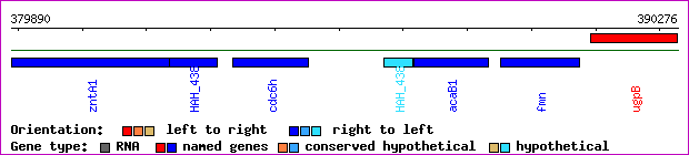gene map