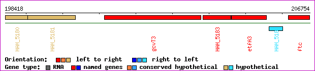 gene map