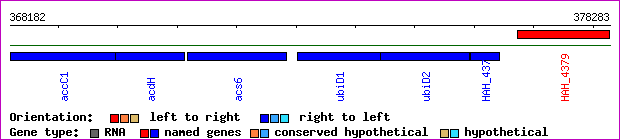 gene map