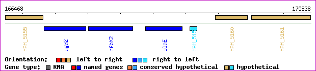 gene map