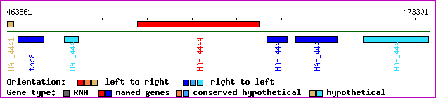 gene map