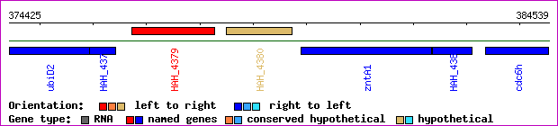 gene map