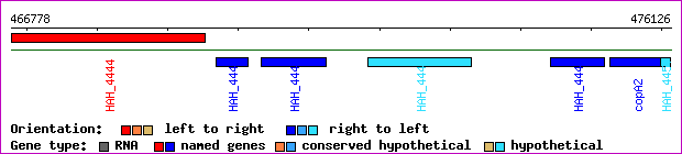 gene map