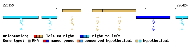 gene map