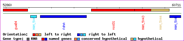 gene map