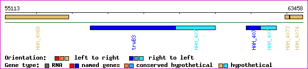 gene map
