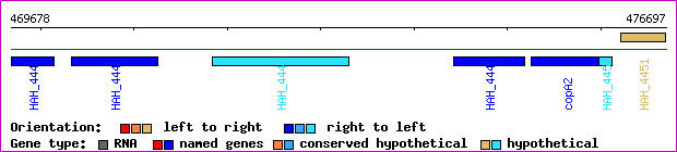 gene map