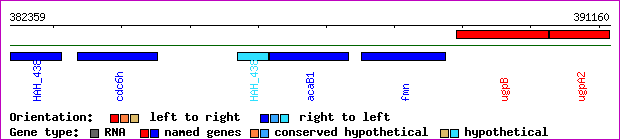 gene map