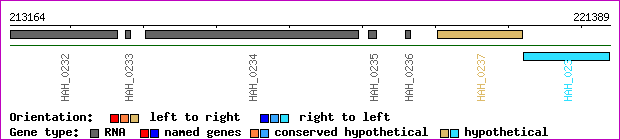 gene map