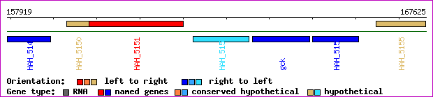 gene map