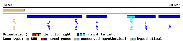 gene map