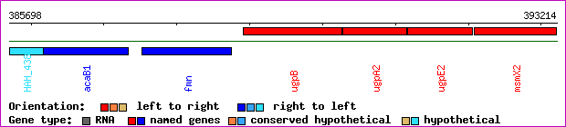 gene map