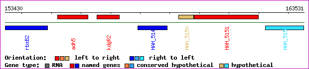 gene map
