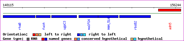 gene map
