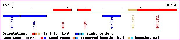 gene map