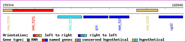gene map