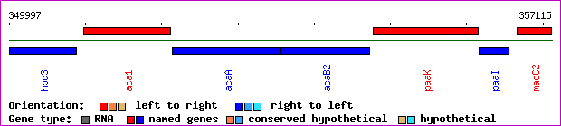 gene map