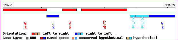 gene map