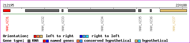 gene map